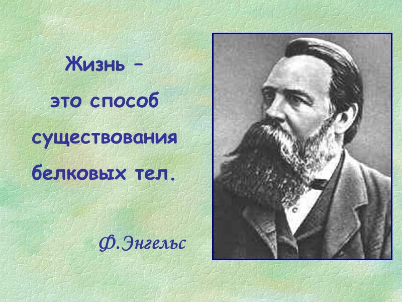 Жизнь –  это способ существования белковых тел. Ф.Энгельс
